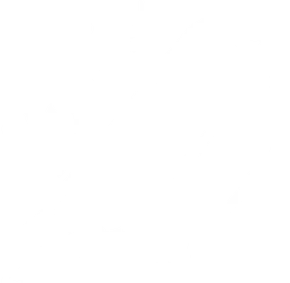The Curio logo, a bird drawn as a dataflow